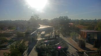 Weather camera view of Houston Botanic Garden.