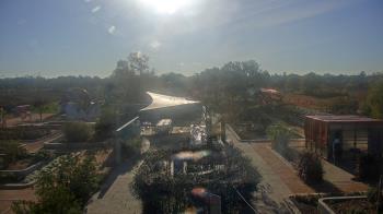 Weather camera view of Houston Botanic Garden.