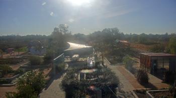 Weather camera view of Houston Botanic Garden.