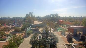 Weather camera view of Houston Botanic Garden.