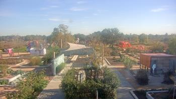 Weather camera view of Houston Botanic Garden.