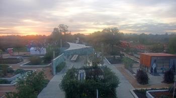 Weather camera view of Houston Botanic Garden.