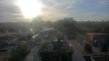 Weather camera view of Houston Botanic Garden.