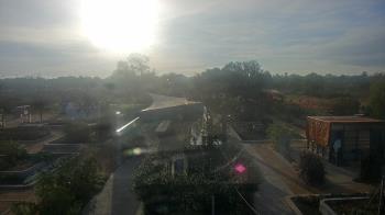 Weather camera view of Houston Botanic Garden.