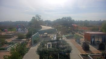 Weather camera view of Houston Botanic Garden.