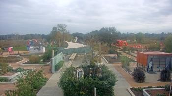 Weather camera view of Houston Botanic Garden.