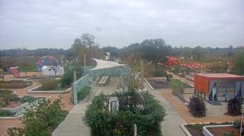 Weather camera view of Houston Botanic Garden.