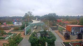 Weather camera view of Houston Botanic Garden.