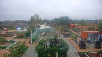 Weather camera view of Houston Botanic Garden.