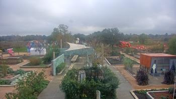 Weather camera view of Houston Botanic Garden.