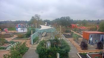 Weather camera view of Houston Botanic Garden.