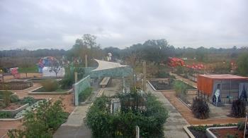 Weather camera view of Houston Botanic Garden.