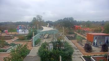 Weather camera view of Houston Botanic Garden.