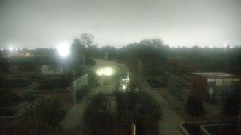 Weather camera view of Houston Botanic Garden.