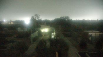 Weather camera view of Houston Botanic Garden.