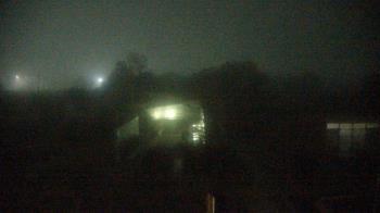 Weather camera view of Houston Botanic Garden.