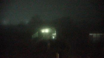 Weather camera view of Houston Botanic Garden.