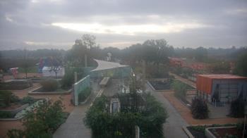 Weather camera view of Houston Botanic Garden.