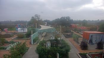 Weather camera view of Houston Botanic Garden.