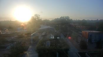 Weather camera view of Houston Botanic Garden.