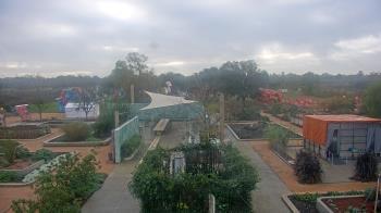 Weather camera view of Houston Botanic Garden.