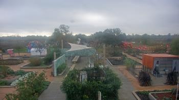 Weather camera view of Houston Botanic Garden.