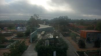 Weather camera view of Houston Botanic Garden.