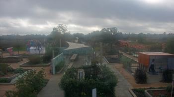 Weather camera view of Houston Botanic Garden.
