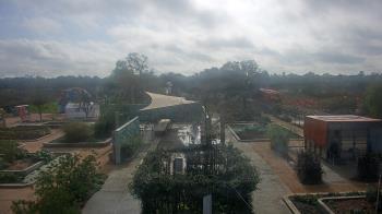 Weather camera view of Houston Botanic Garden.