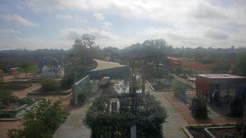Weather camera view of Houston Botanic Garden.