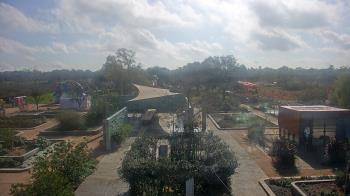 Weather camera view of Houston Botanic Garden.