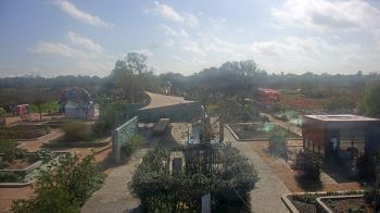 Weather camera view of Houston Botanic Garden.