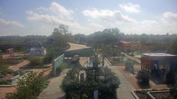 Weather camera view of Houston Botanic Garden.
