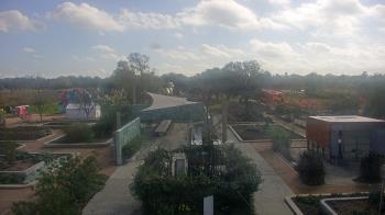 Weather camera view of Houston Botanic Garden.