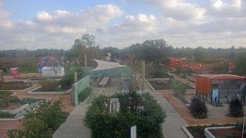 Weather camera view of Houston Botanic Garden.