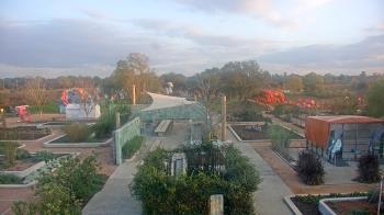 Weather camera view of Houston Botanic Garden.