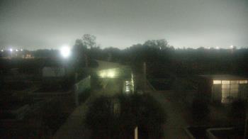 Weather camera view of Houston Botanic Garden.