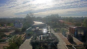 Weather camera view of Houston Botanic Garden.