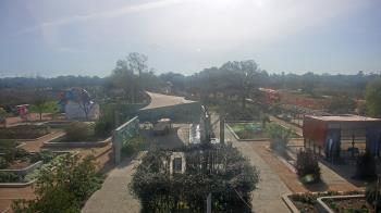 Weather camera view of Houston Botanic Garden.