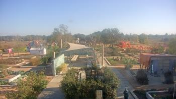 Weather camera view of Houston Botanic Garden.