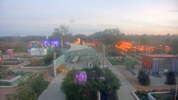 Weather camera view of Houston Botanic Garden.