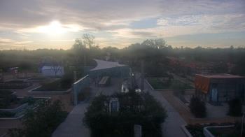 Weather camera view of Houston Botanic Garden.