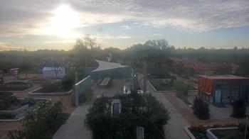 Weather camera view of Houston Botanic Garden.