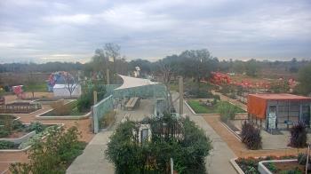 Weather camera view of Houston Botanic Garden.