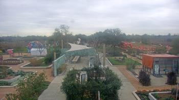 Weather camera view of Houston Botanic Garden.