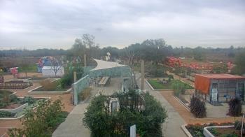 Weather camera view of Houston Botanic Garden.