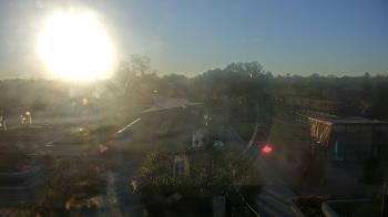 Weather camera view of Houston Botanic Garden.