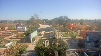 Weather camera view of Houston Botanic Garden.