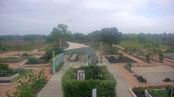 Weather camera view of Houston Botanic Garden.