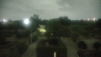 Weather camera view of Houston Botanic Garden.